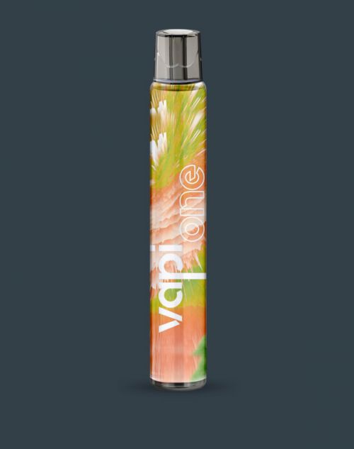 Pomme Pêche Vapi One