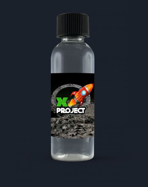 X Project X Project